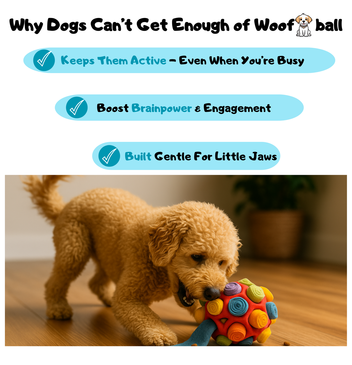 WoofBall™ [FREE TODAY]