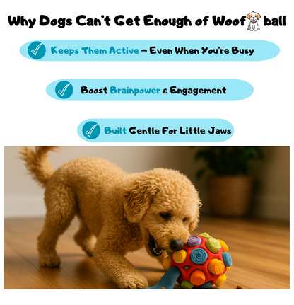 WoofBall™ [FREE TODAY]