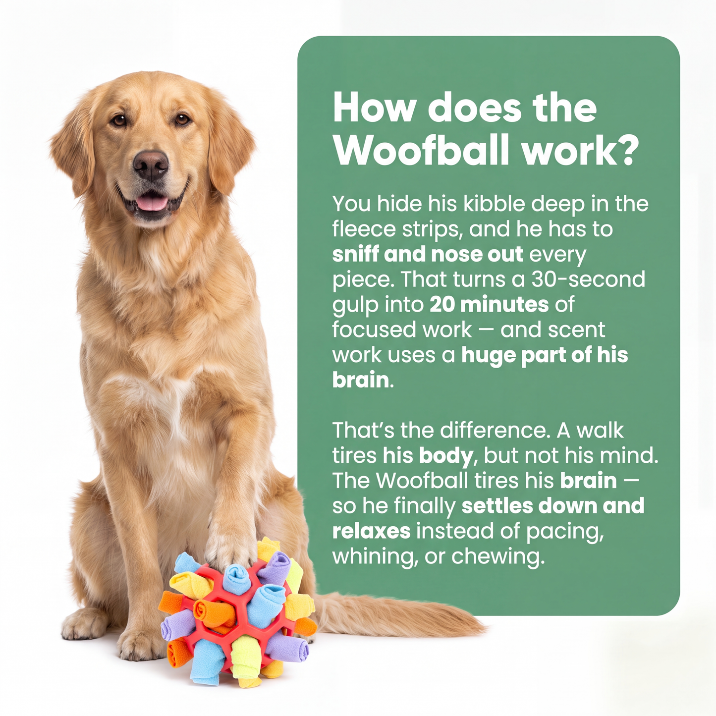 WoofBall - [Free Today]
