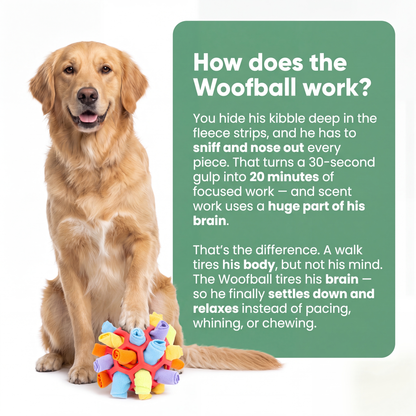 WoofBall - [Free Today]